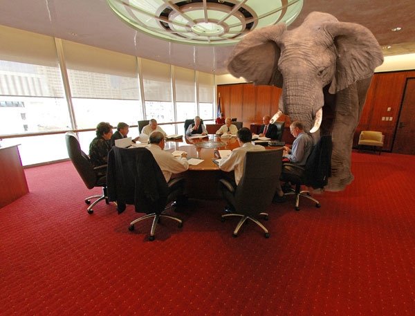 A business meeting with a real elephant in the room