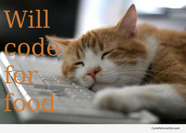 A funny picture sleeping on a keyboard, with the mention 'Will code for food'