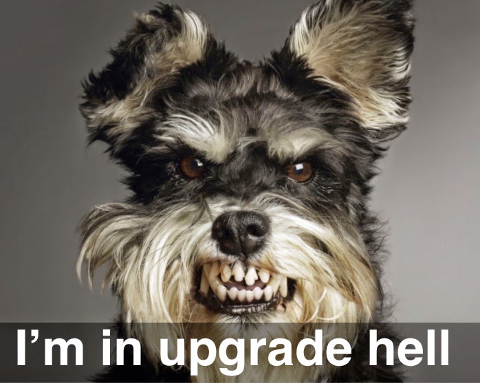 A naughty dog with a banner "I'm in upgrade hell"