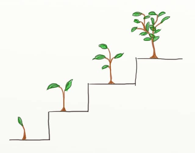 Drawing of a plant at different stages of growth, illustrating Incremental Software Development
