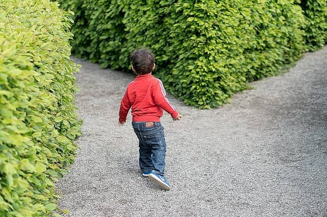 A child at a crossroad in a maze. In this complex world, figuring out which path might increase productivity is guesswork!