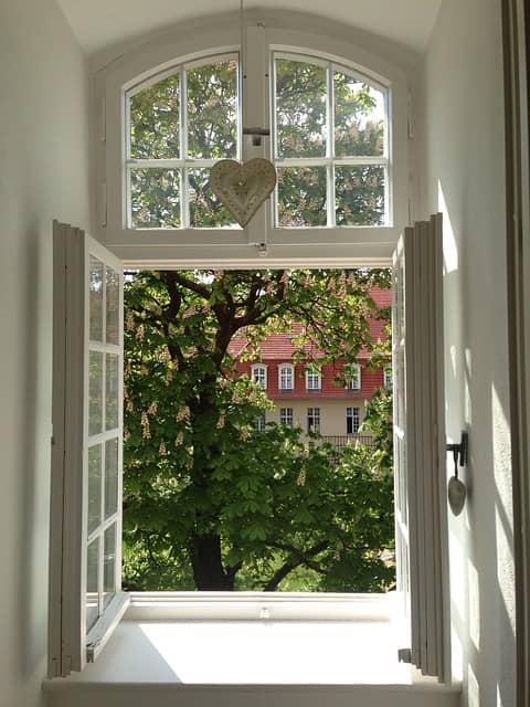 Photo of an outside view from a window. Sharing what you see from your window is a great way to kick start positive collaboration with your pair programming buddy.