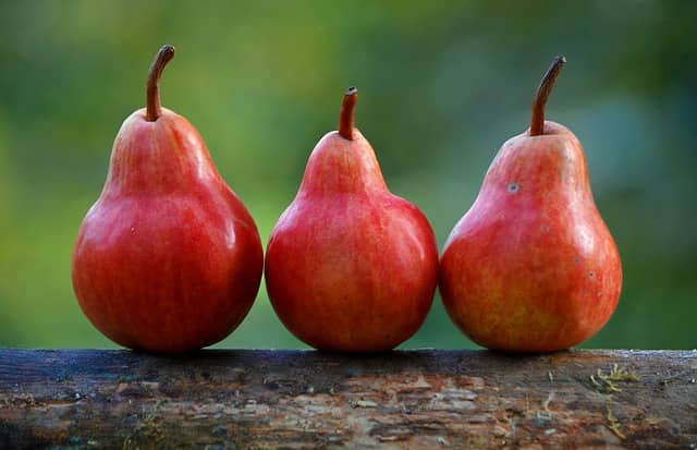 Photo of 3 red pears. Here are 3 effective techniques to deal with the "It does not work in real life!" comments during code katas.