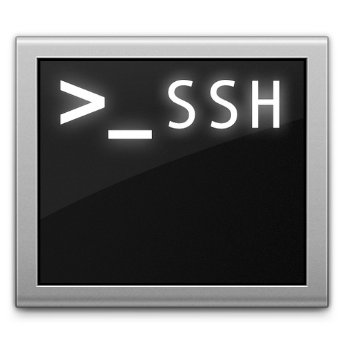 A screen with the ssh prompt