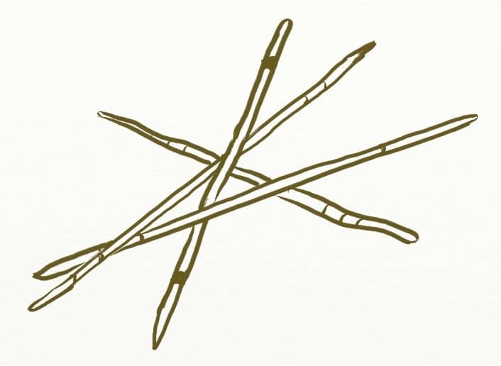 A drawing of entangled mikado sticks