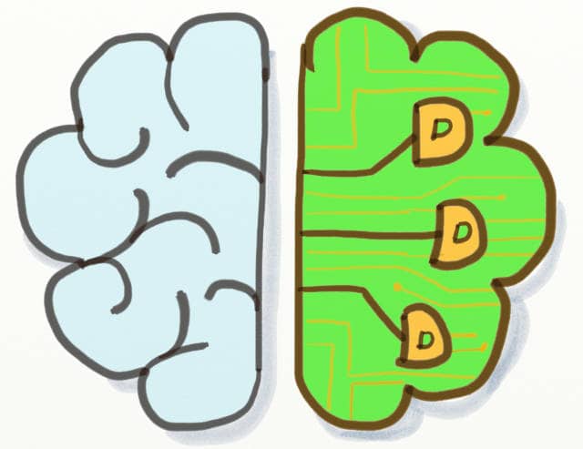 Drawing of a split brain, 1 side biologic the other electronic, with DDD appearing on it. DDD can contribute a lot to Machine learning.